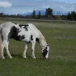 Swan Mountain View-Private Basement Suite/10 Acres
