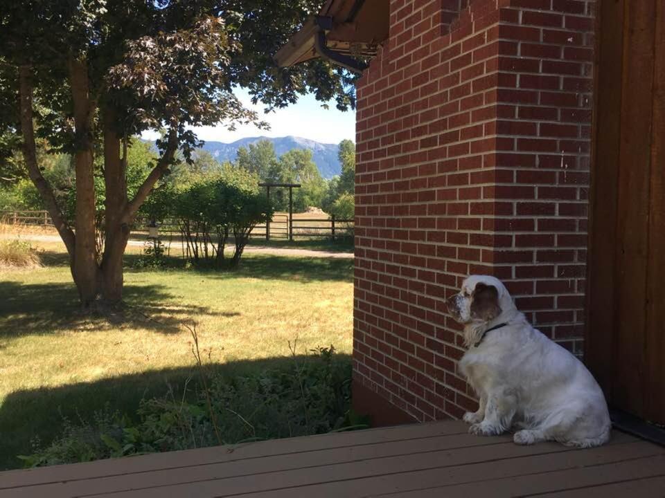 Swan Mountain View-private Basement Suite/10 Acres Apartment Kalispell