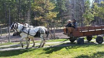 Lonesome Dove Ranch 2* Kalispell