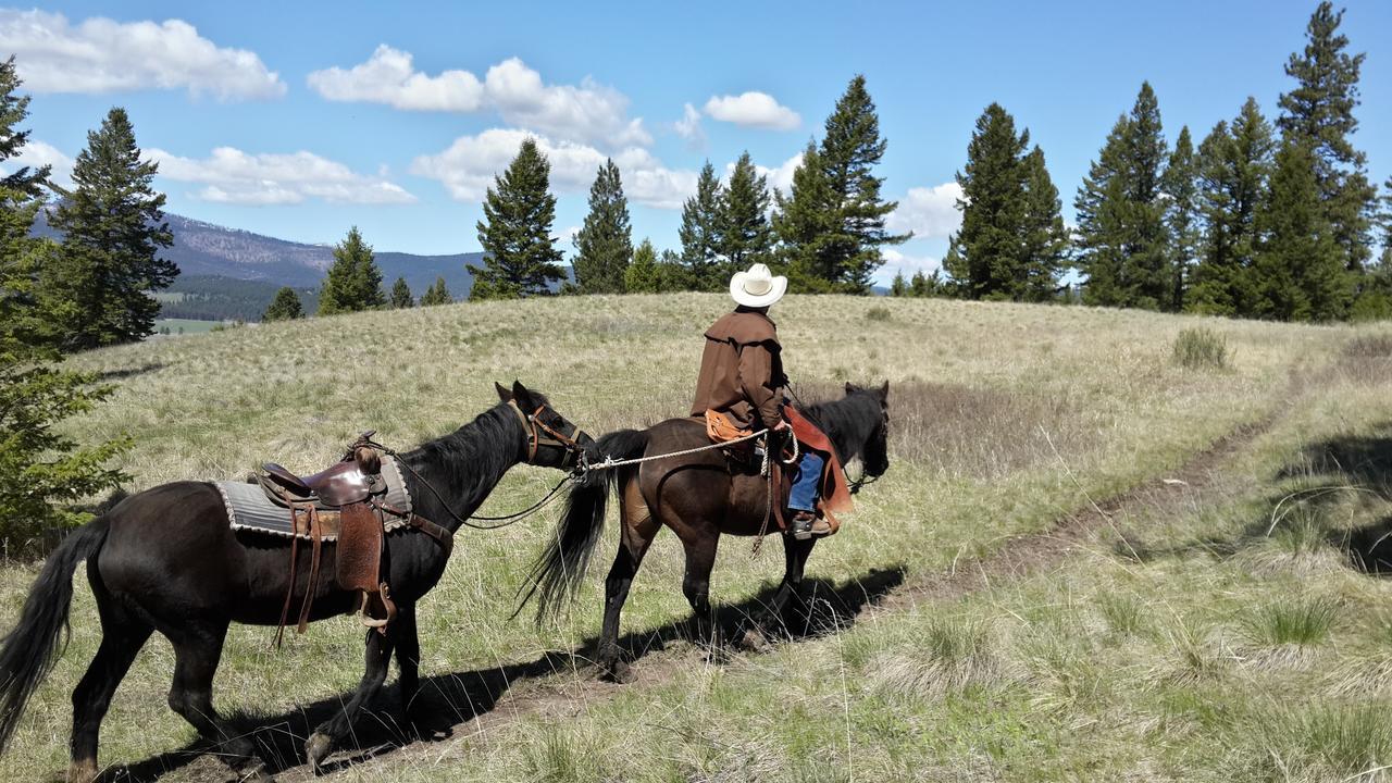 Bed & Breakfast Lonesome Dove Ranch 2*