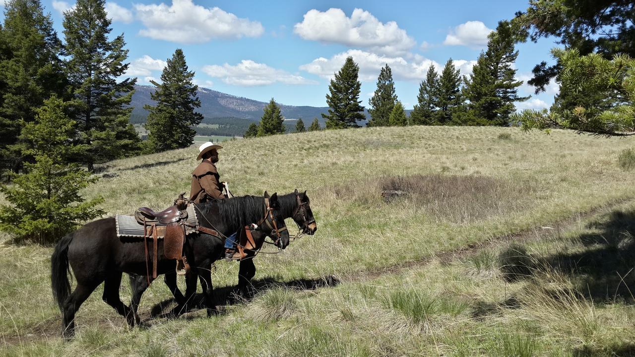 Lonesome Dove Ranch 2*
