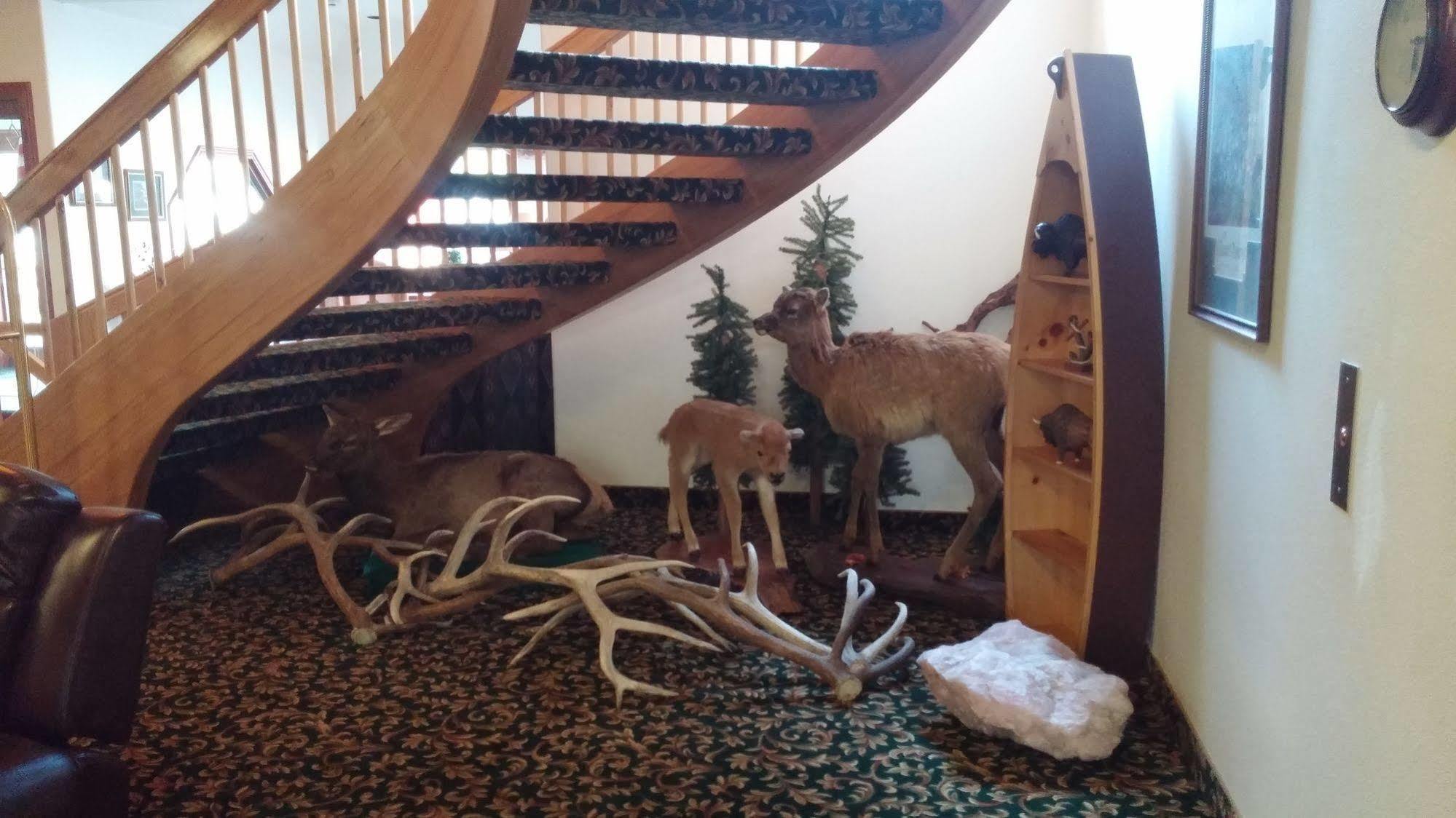 Greenwood Village & Kalispell